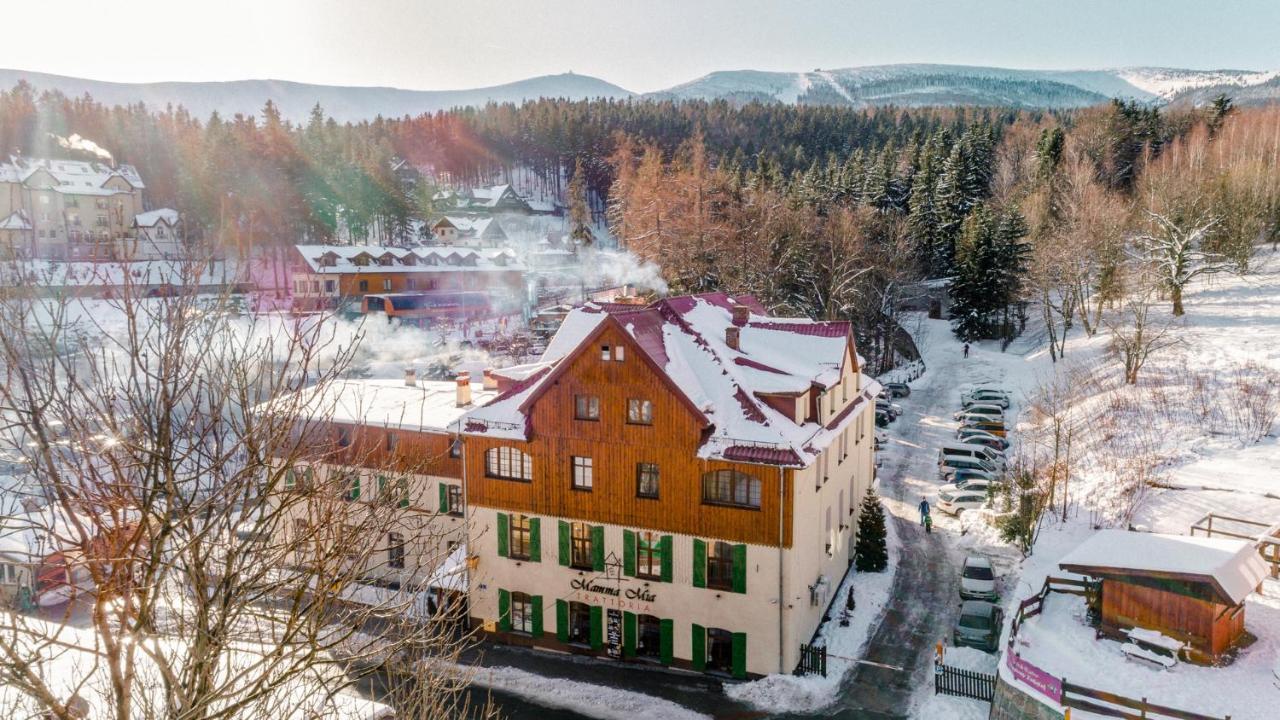 Lesny Dwor Bed & Breakfast Karpacz Exterior foto